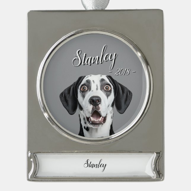 Adorno Con Rótulo Plateado personalize pet name & picture (Anverso)