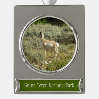 Adorno Con Rótulo Plateado Pronghorn en el Parque Nacional de Grand Teton