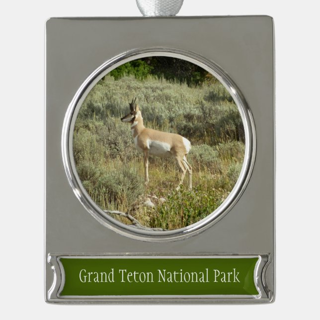 Adorno Con Rótulo Plateado Pronghorn en el Parque Nacional de Grand Teton (Anverso)