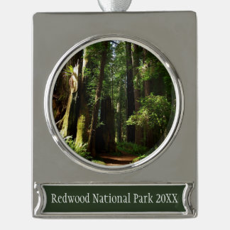 Adorno Con Rótulo Plateado Secuoyas y helechos en el Parque Nacional Redwood