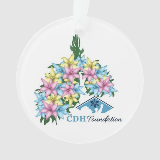 Adorno Concienciación sobre la CDH (Anverso)
