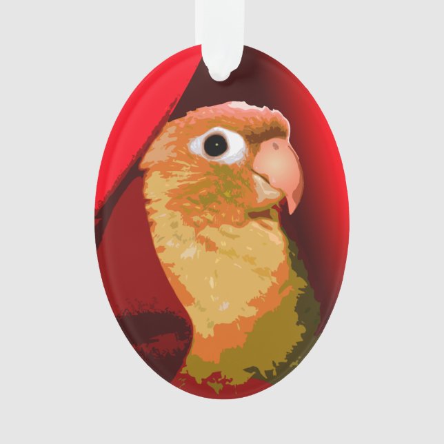 Adorno Conure de Cara Verde Lorito Mascota Ave de Mascota (Anverso)