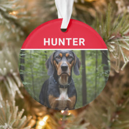 Adorno Coonhound con Navidades de fotografía y nombre de