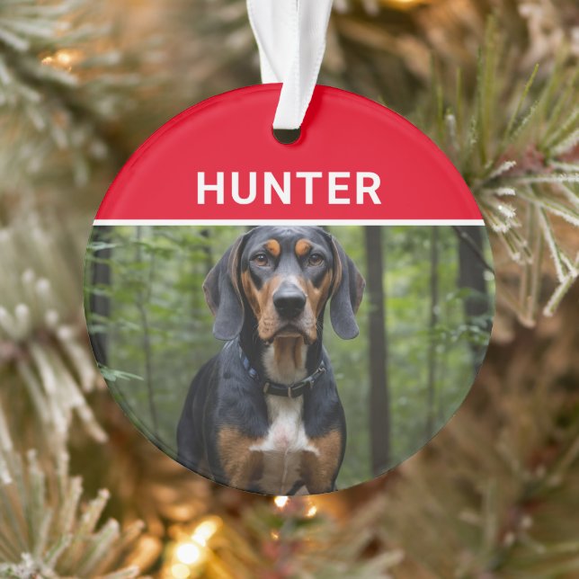 Adorno Coonhound con Navidades de fotografía y nombre de  (Árbol)
