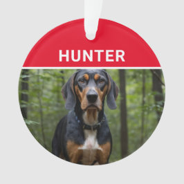 Adorno Coonhound con Navidades de fotografía y nombre de