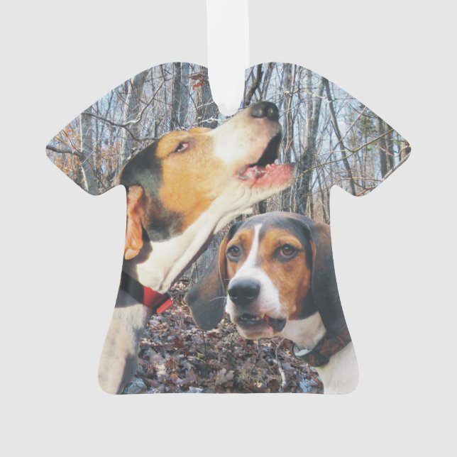 Adorno Coonhound del caminante de Treeing (Reverso)