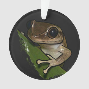 Adorno Coqui Puerto Rico