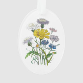 Adorno Cornflowers