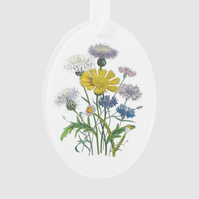 Adorno Cornflowers (Reverso)