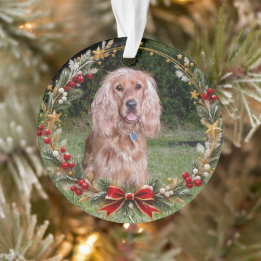 Adorno Corona de Navidad con Foto de Mascota Personalizad