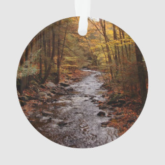 Adorno Corriente de Pocono en otoño