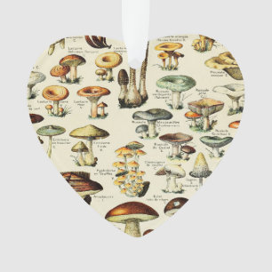 Adorno Cottagecore Mushrooms Vintage Naturalist