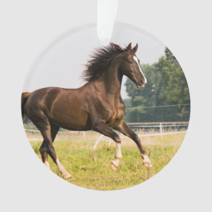 Adorno Crea tu propia foto de caballo de mascota personal
