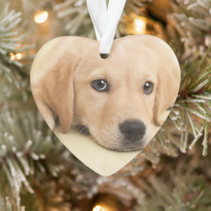 Adorno Crea tu propia foto personalizada de tu mascota