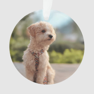Adorno Crea tu propia foto personalizada de tu mascota