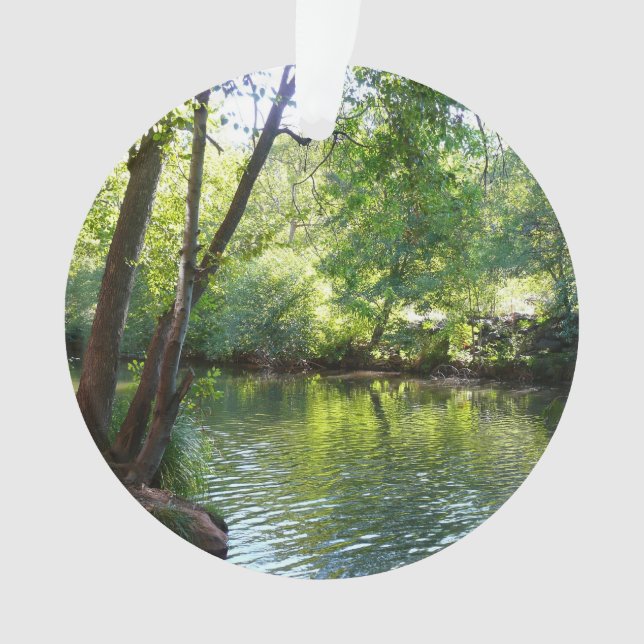 Adorno Creek de roble I en Sedona Arizona (Anverso)