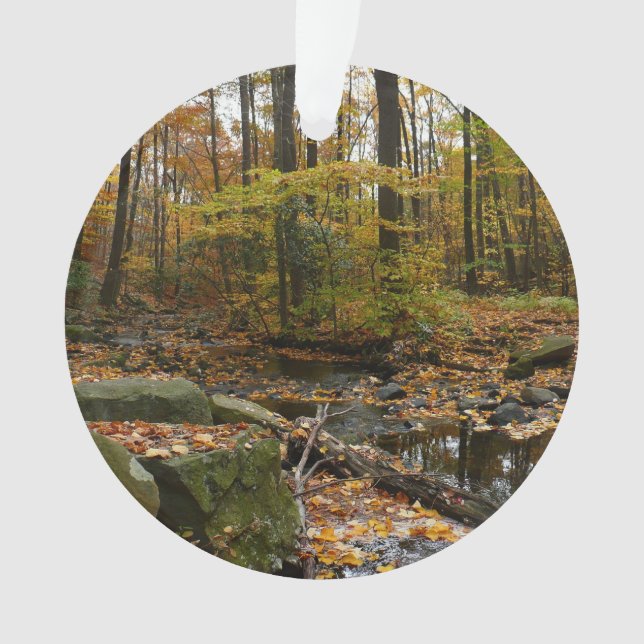 Adorno Creek otoñal con reflexión en Laurel Hill Park (Anverso)