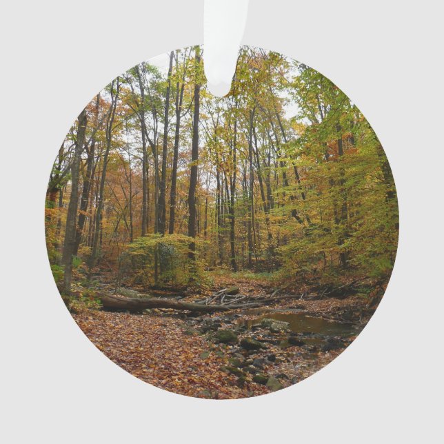 Adorno Creek otoñal en el Parque Estatal Laurel Hill en P (Anverso)
