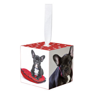 Adorno Cúbico Cachorro de Bulldog Francés Personalizable Foto