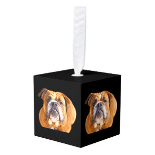 Adorno Cúbico Cara de bulldog - Bulldog inglés, marrón
