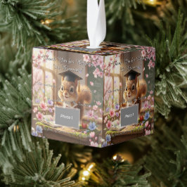 Adorno Cúbico Cute Squirrel Teacher Appreciation Ornament