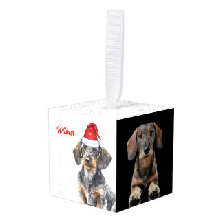 Adorno Cúbico Dachshund de pelo duro Dos Fotos Navidad