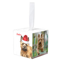 El perro de Cairn Terrier dos Navidades de fotogra