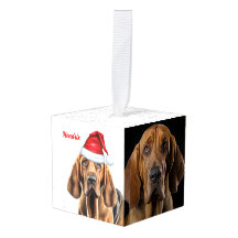 Festividad de dos Navidades fotográficos