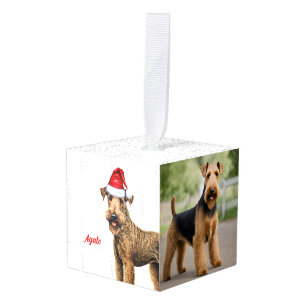Adorno Cúbico Fiesta de dos Navidades de fotografía de Airedale 