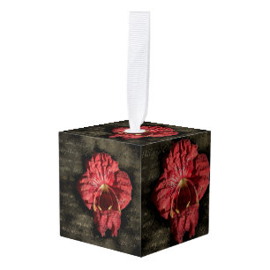 Adorno Cúbico Flor roja en texto grueso