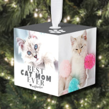 Foto Personalizada de Mamá de Gato en Navidad