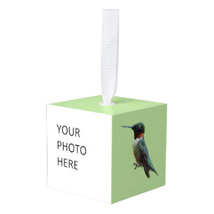 Adorno Cúbico Fotografía de pájaro húmedo con trompetas de rubí