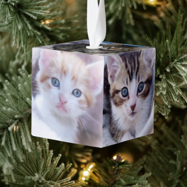 Adorno Cúbico Fotos de gatos familiares (Árbol)
