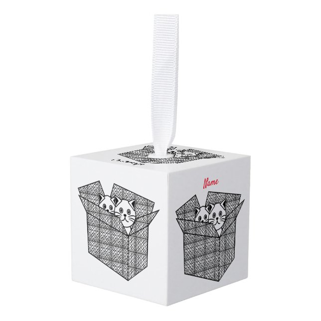 Adorno Cúbico Gatitos en una caja Thunder_Cove (Anverso en perspectiva)