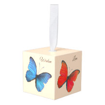 Hermosas Mariposas Coloridas y Caligrafía
