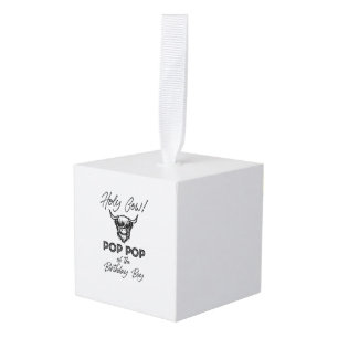 Adorno Cúbico Holly Cow Pop De Nacimiento Boy Highland Cow