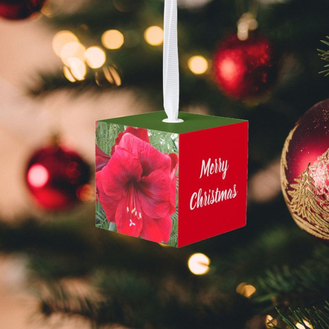 Adorno Cúbico Holly Leaves y Red Amaryllis Holiday (In Situ)