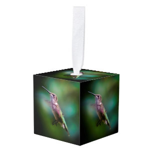Adorno Cúbico Hummingbird - Fotografía original