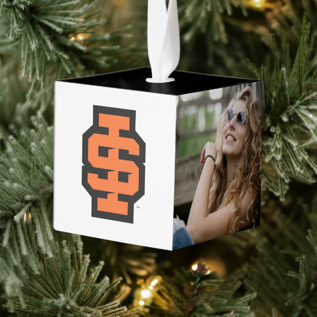Adorno Cúbico Idaho State University Bold Bengala Logo (Árbol)