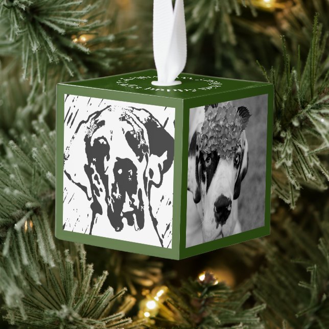 Adorno Cúbico Introducción a los nuevos miembros de la familia (Árbol)