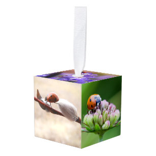 Adorno Cúbico Lady bug Oficina Animal Personalizado Destiny Dest