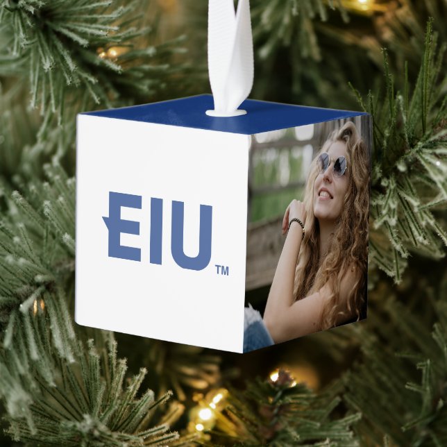 Adorno Cúbico Letra de bloque EIU (Árbol)