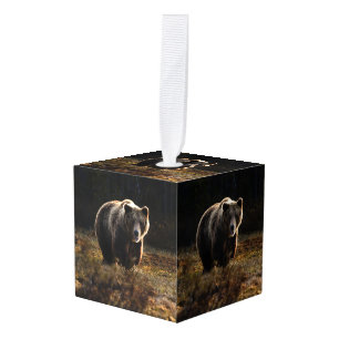 Adorno Cúbico Oso