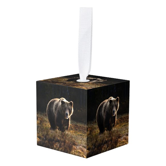 Adorno Cúbico Oso (Anverso en perspectiva)