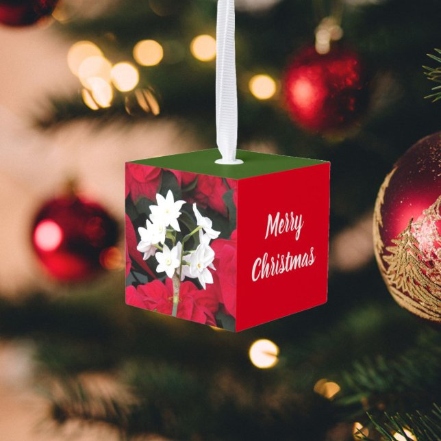 Adorno Cúbico Paperwhites de vacaciones y Holly (In Situ)