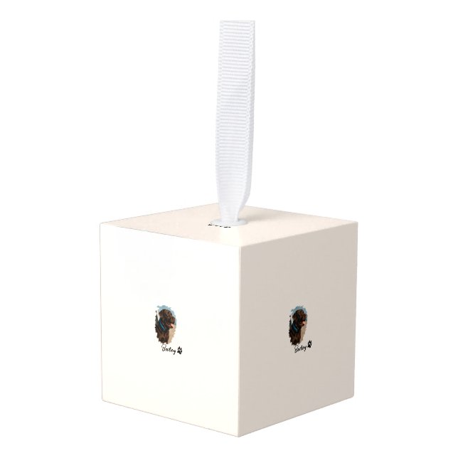 Adorno Cúbico Perro Labrador de chocolate lindo - Bailey | Regal (Anverso en perspectiva)