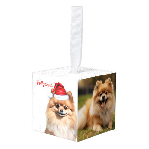 Adorno Cúbico Perro Pomerania Dos Foto Navidad Fiesta