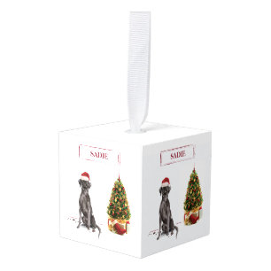 Adorno Cúbico Perro y árbol graciosos de Black Lab Navidades