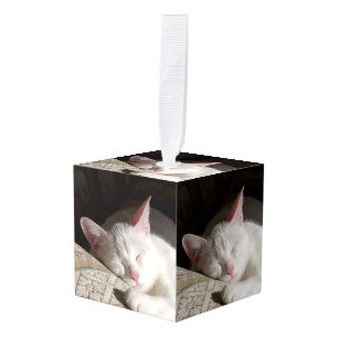 Adorno Cúbico Personalizado Mascota