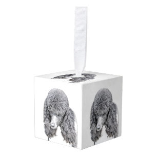 Adorno Cúbico Pintura de Parti Negro de canapé estándar - Arte d